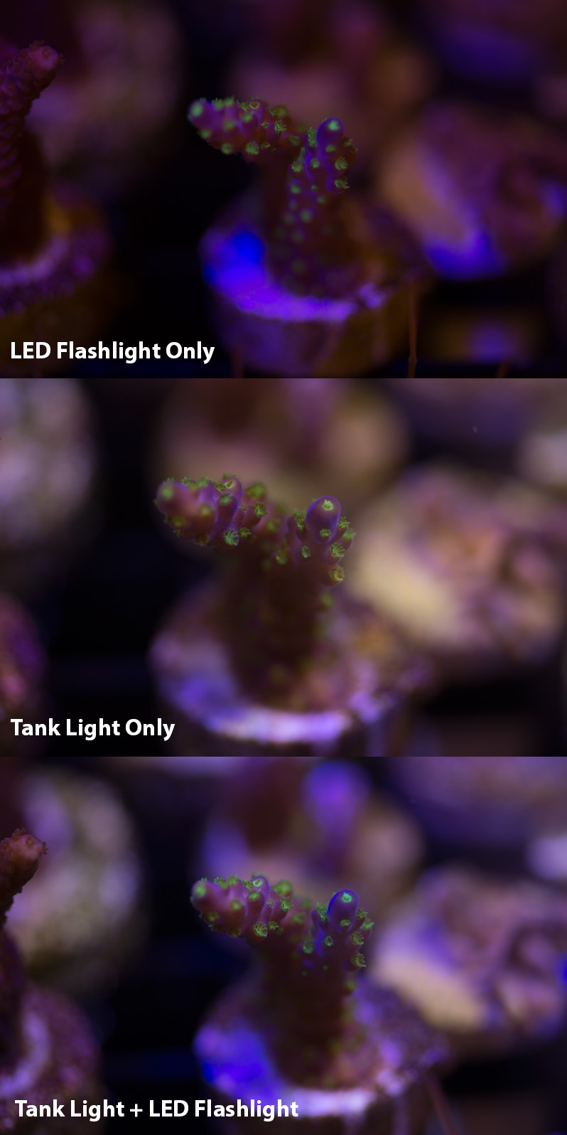 led_flashlight_test_082916.jpg